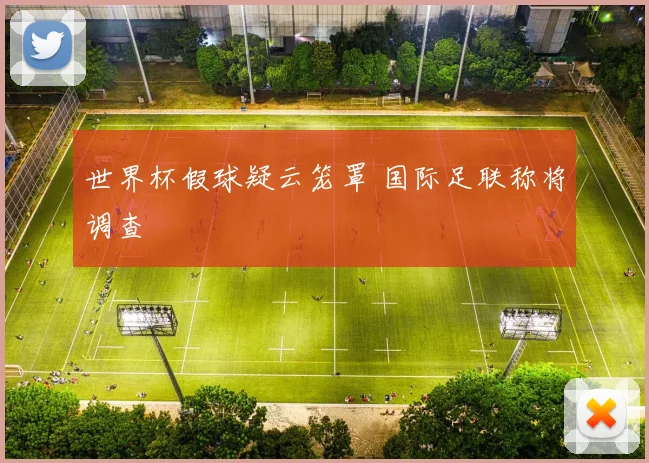 世界杯假球疑云笼罩 国际足联称将调查