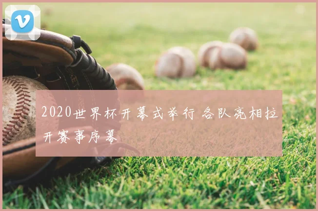 2020世界杯开幕式举行 各队亮相拉开赛事序幕