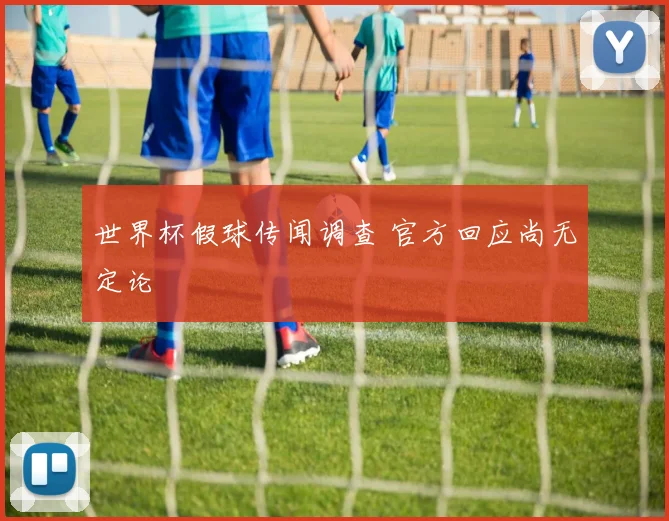 世界杯假球传闻调查 官方回应尚无定论